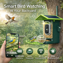 Watch Hummingbirds Up Close! 🌸🐦 | Smart Solar Camera Feeder