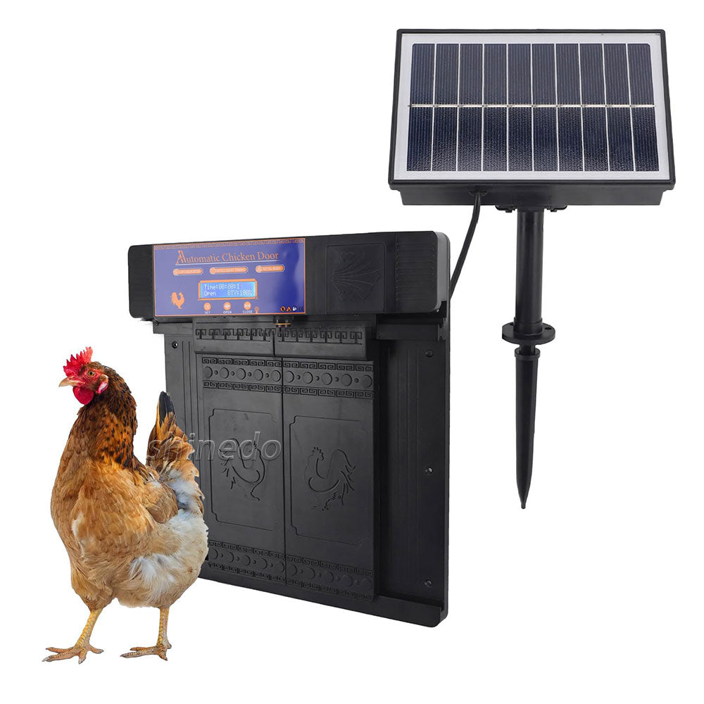 Safe Coops, Happy Hens! 🐔☀️ | Solar-Powered Smart Coop Door