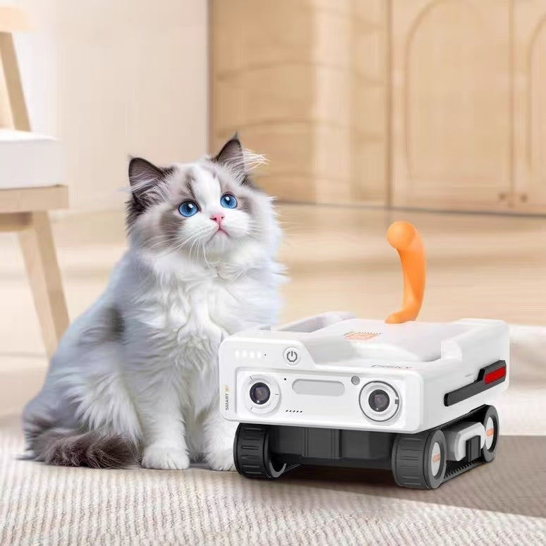 See the World through Their Eyes! 🐾🎥 | AI Wearable Pet Camera