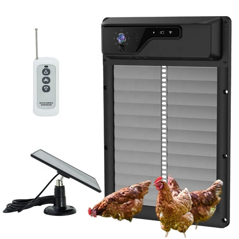 Automatic Chicken Freedom! 🐔 | Elite Smart Coop Door