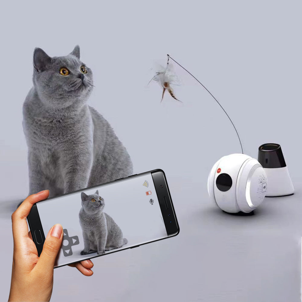 Orbit-Ball 360° Smart Interactive Pet Toy - Motion Activated