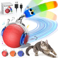 Smart Automatic Pet Feeder | 1080P Camera & WiFi Enabled 📸
